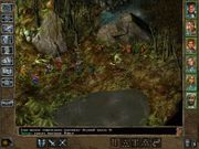 Baldur's Gate II: Shadows of Amn