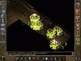 [Baldur's Gate II: Shadows of Amn - скриншот №22]
