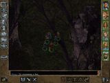 [Baldur's Gate II: Shadows of Amn - скриншот №32]