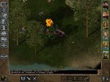 [Baldur's Gate II: Shadows of Amn - скриншот №38]