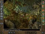 [Baldur's Gate II: Shadows of Amn - скриншот №48]