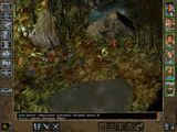 [Baldur's Gate II: Shadows of Amn - скриншот №52]