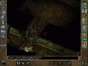 Baldur's Gate II: Throne of Bhaal