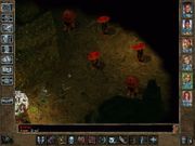 Baldur's Gate II: Throne of Bhaal