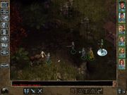 Baldur's Gate II: Throne of Bhaal