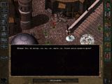 [Baldur's Gate II: Throne of Bhaal - скриншот №8]