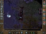 [Baldur's Gate II: Throne of Bhaal - скриншот №18]