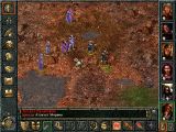 [Baldur's Gate: The Original Saga - скриншот №43]