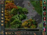 [Baldur's Gate: The Original Saga - скриншот №12]