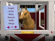 Barbie Adventure: Riding Club