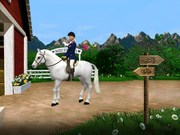 Barbie Adventure: Riding Club