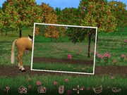 Barbie Adventure: Riding Club