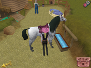 Barbie Horse Adventures: Mystery Ride