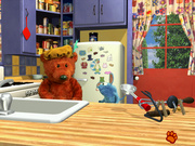 Bear's Imagine That!