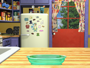 Bear's Imagine That!