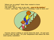 The Berenstain Bears in the Dark