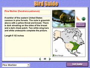 Bird Watcher