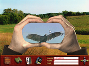 Bird Watcher