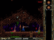 BlackThorne