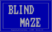 Blind Maze