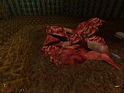 Blood II: The Nightmare Levels