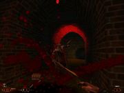 Blood II: The Nightmare Levels