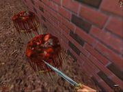 Blood II: The Nightmare Levels