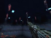 Blood II: The Chosen