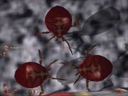 Blood II: The Chosen