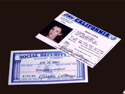 Blue Heat: The Case of the Cover Girl Murders