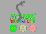 Boa Vision