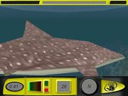 Body Glove's Bluewater Hunter