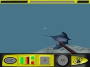 Body Glove's Bluewater Hunter