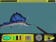 Body Glove's Bluewater Hunter