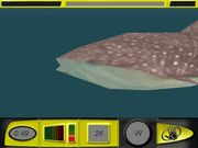 Body Glove's Bluewater Hunter