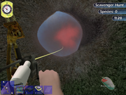 Bowfishing Survival Gauntlet