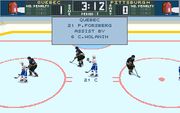 Brett Hull Hockey '95