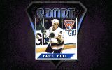 [Скриншот: Brett Hull Hockey '95]