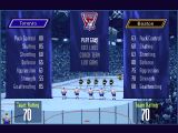 [Brett Hull Hockey '95 - скриншот №4]