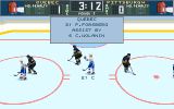 [Brett Hull Hockey '95 - скриншот №9]