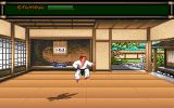 [Budokan: The Martial Spirit - скриншот №8]