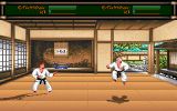 [Budokan: The Martial Spirit - скриншот №9]