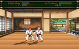 [Budokan: The Martial Spirit - скриншот №10]
