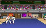[Budokan: The Martial Spirit - скриншот №12]