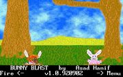 Bunny Blast