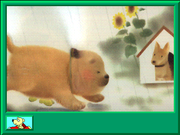 Buster's First Thunderstorm