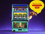 Camel Cine