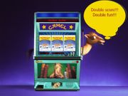 Camel Cine