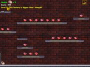 Camy 2 Special Edition