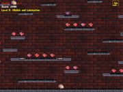 Camy 2 Special Edition